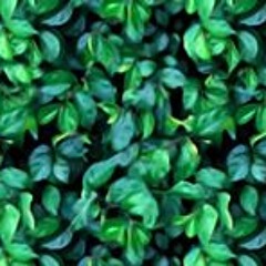 علي الحجار 1