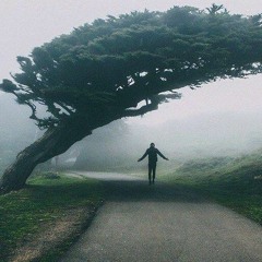 Hrvoje Hrco Brnica drummer