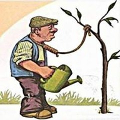 Kḧẳïẳ'Đ Sẳẳ'Đ