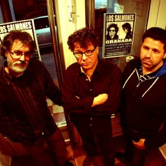 MarioOjedayLosSalmones