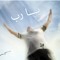 Ahmed Mhmoud EL-Deeb