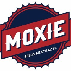 MOXIEGANG