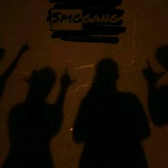 S.m.g