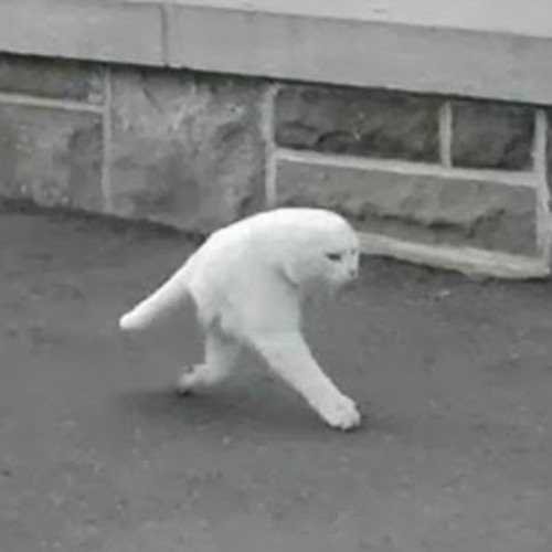 Raw