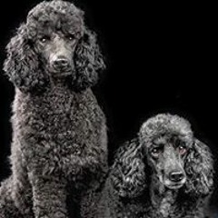 Mari Fd Edholm Norén