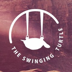 The Swinging Turtle Remixes