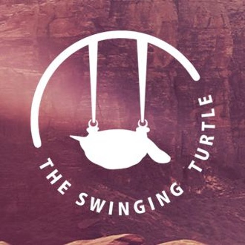 The Swinging Turtle Remixes’s avatar