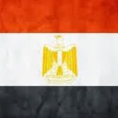 walid elsafty