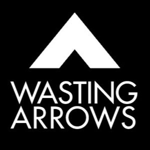 Wasting Arrows’s avatar