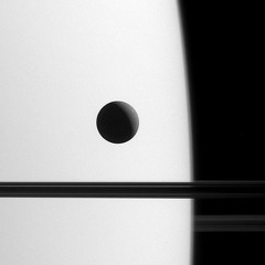 Andrea Rivera Icarte