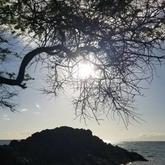 kipahuluRootz