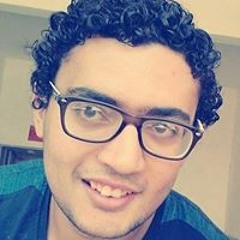 Mostafa Amin Saber
