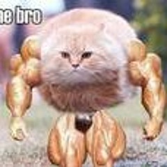 evan