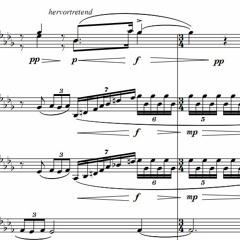 Antonin Dvorak / Serenade for Strings (1st Mvt) - VSL Solo & Orchestral Strings