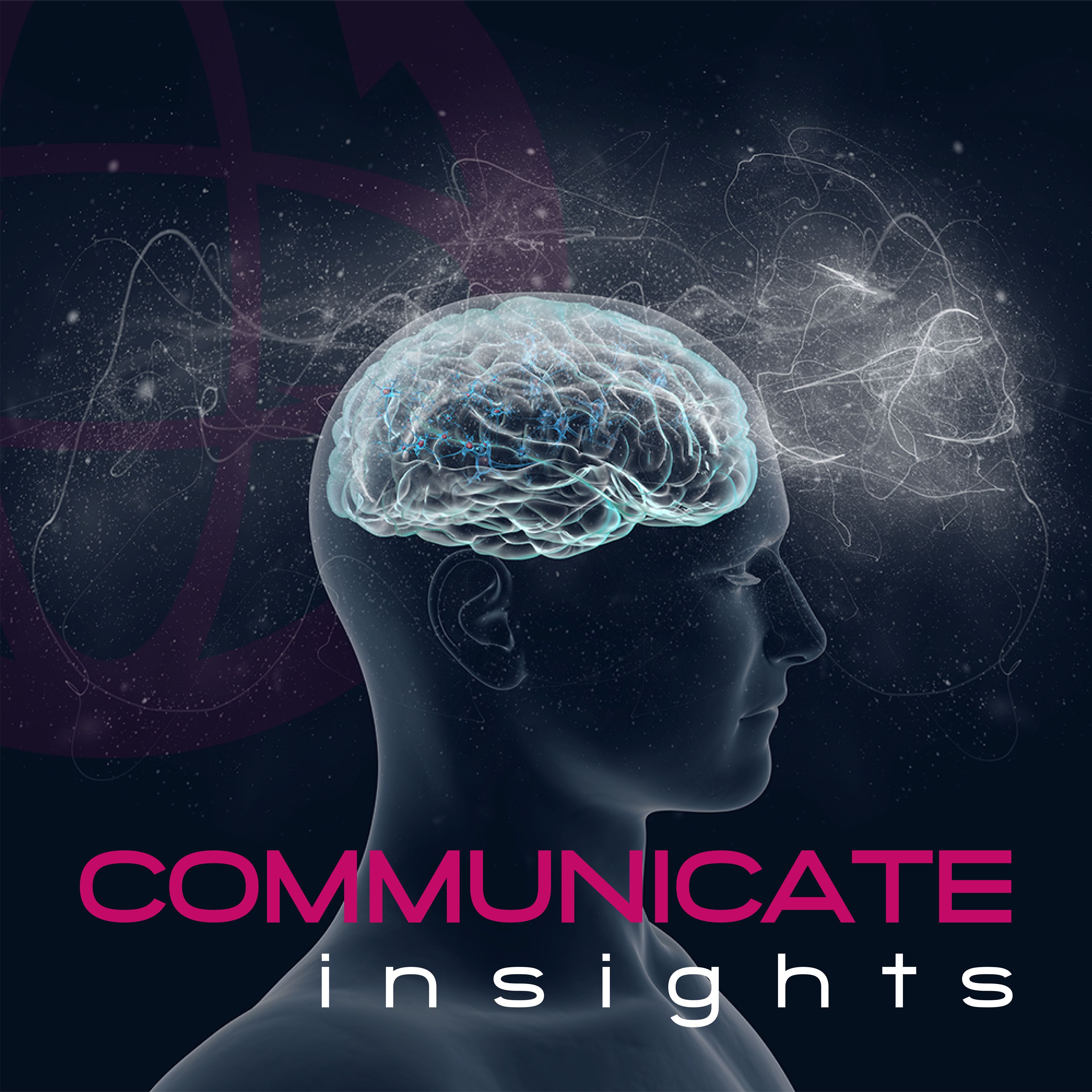 Communicate Insights