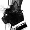 Mrr Cat