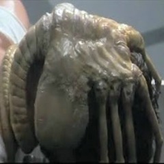 TheFaceHugger