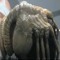 TheFaceHugger