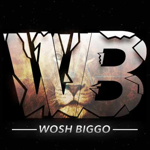 Wosh BIGGO’s avatar