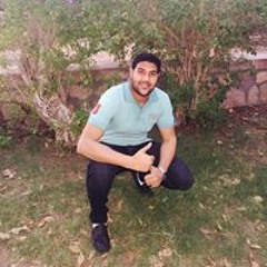 احمد الحسنى