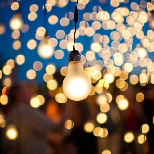 أجهل- زياد شحاتة..