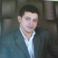 سامر سامى