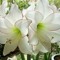 User 284220047