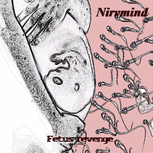 nirvmind’s avatar