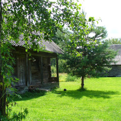 Gintautas G.
