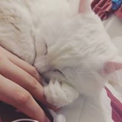 윤가희