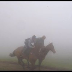 Tyler James Grimshaw