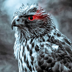 White Falcon