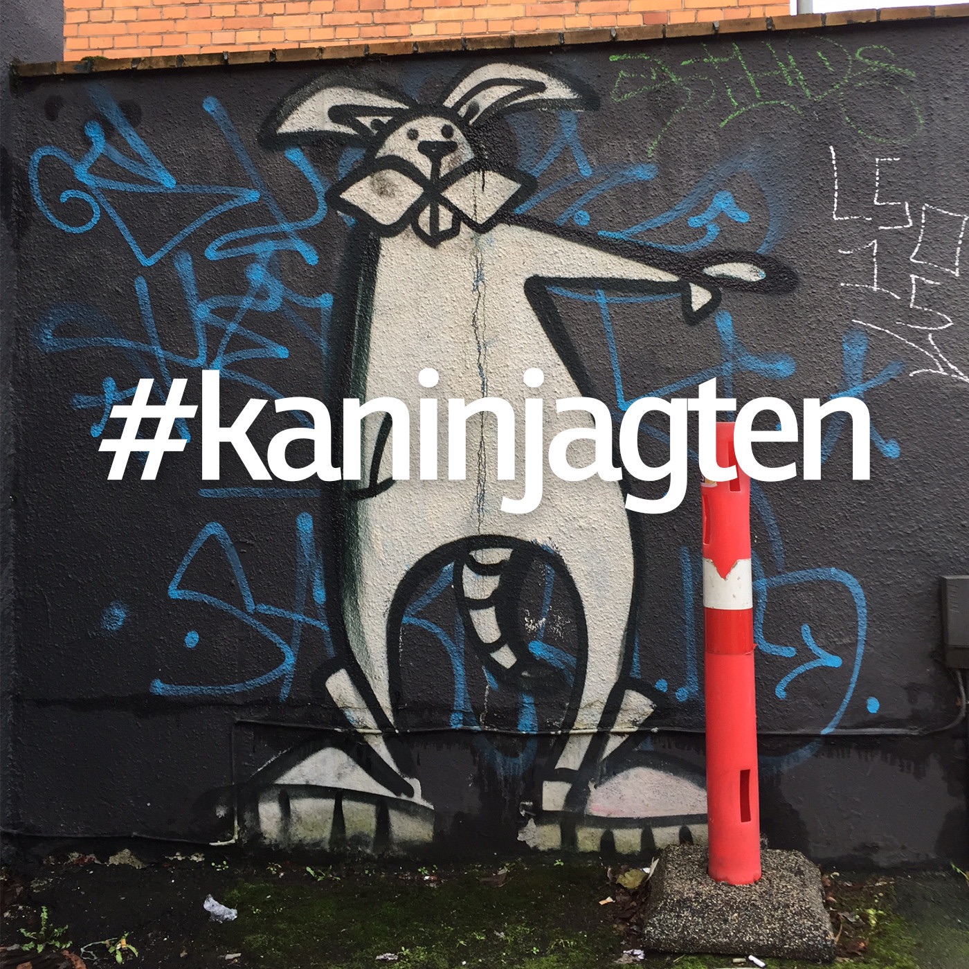 Kaninjagten af Kaninjagten