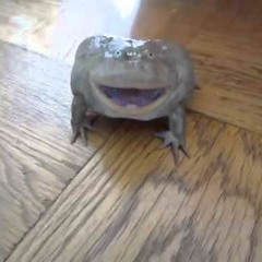 Paint_TheFrog