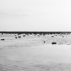 Arthur From The 90's