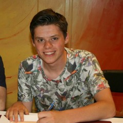 Micha van den Herik