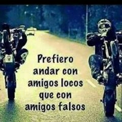 Eldin R Alvarado