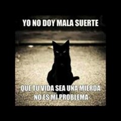User 105124786