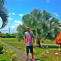 Alejandro Barcenas Arango