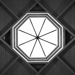 Octagon Network - House