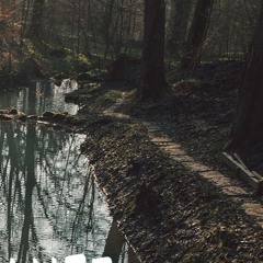 hiadsbisadhiuadhiausd