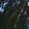 lostinwest.