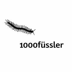 1000fussler
