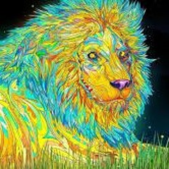 matt_kullas123