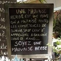 Lucie Bougeard