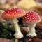 Mushroommates