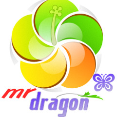 mr dragon