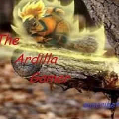 The Ardilla Gamer