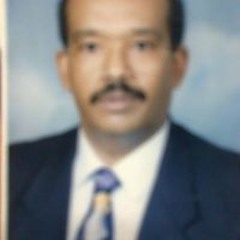 سيد حسن عبدالسيد