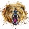 Grizzly Bear Music
